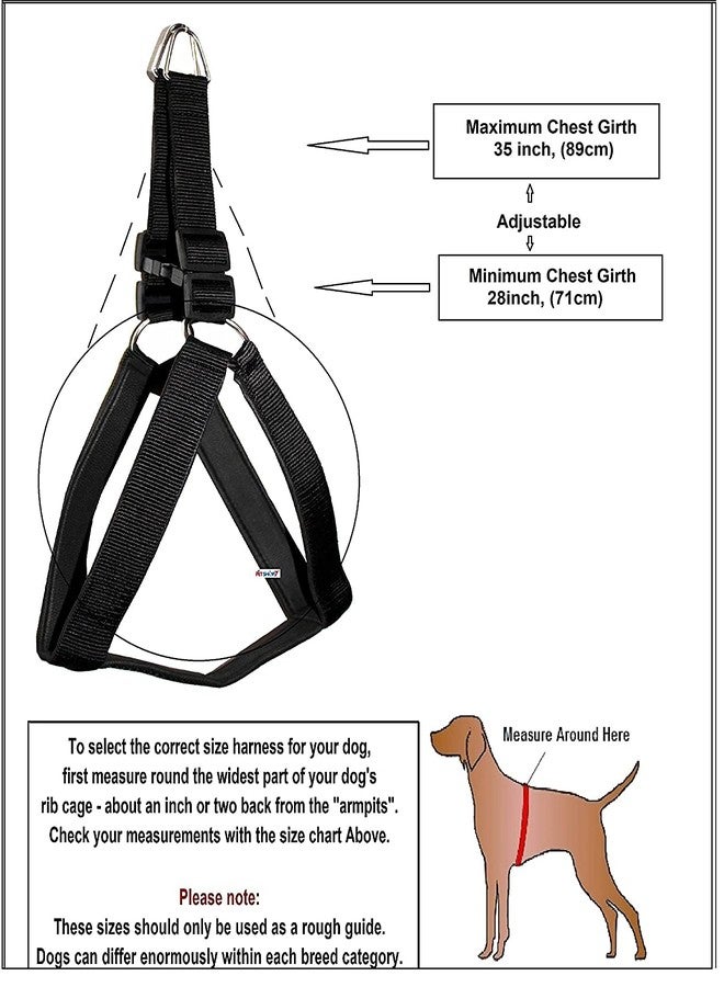 VIPCOLLECTION No Pull -Step In Soft Padded Dog Harness With Comfortable Rope Leash Comfortable For Walking Running Training 0.5 Inch(Extra Small,Black) - Image 2